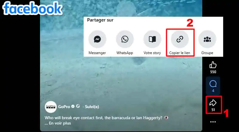 telecharger-des-videos-facebook-gratuit