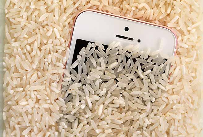 Smartphone-dans-le-riz