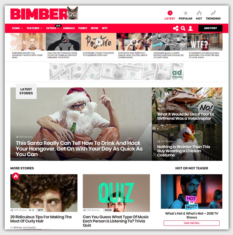 Bimber-Viral-Magazine-WordPress-Theme-buzz